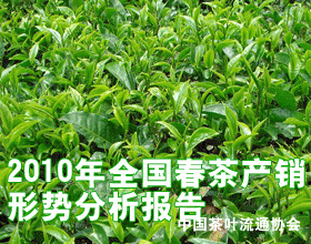 2010春茶产销形势报告