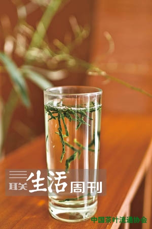 三联生活周刊：绿茶之道