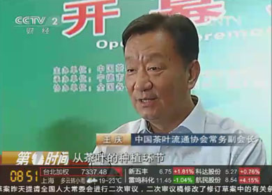 中茶协常务副会长王庆接受央视《第一时间》栏目采访