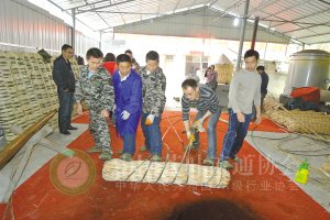 工人们在合力制作安化千两茶。