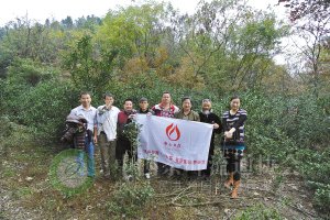 寻茶团在白岩山的老茶园前留影,身后的茶树已经长到一人高。