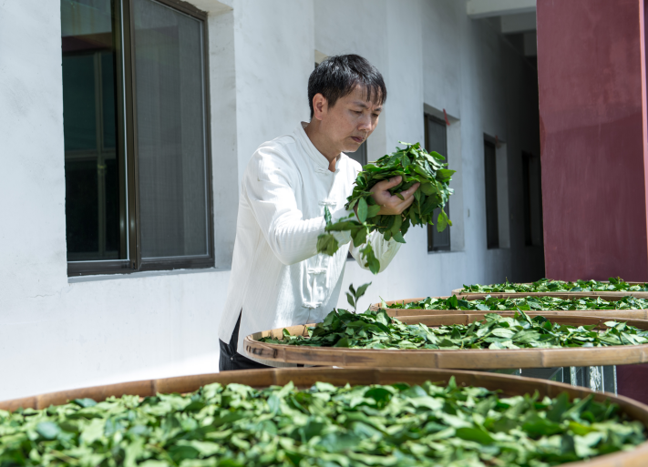 1672390087159518.png image.png