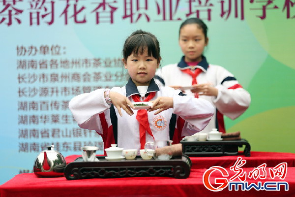 2013湖南茶仙子选拔大赛在长沙市启动