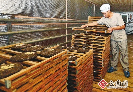普洱茶祖茶厂开业 用太阳能制作普洱茶